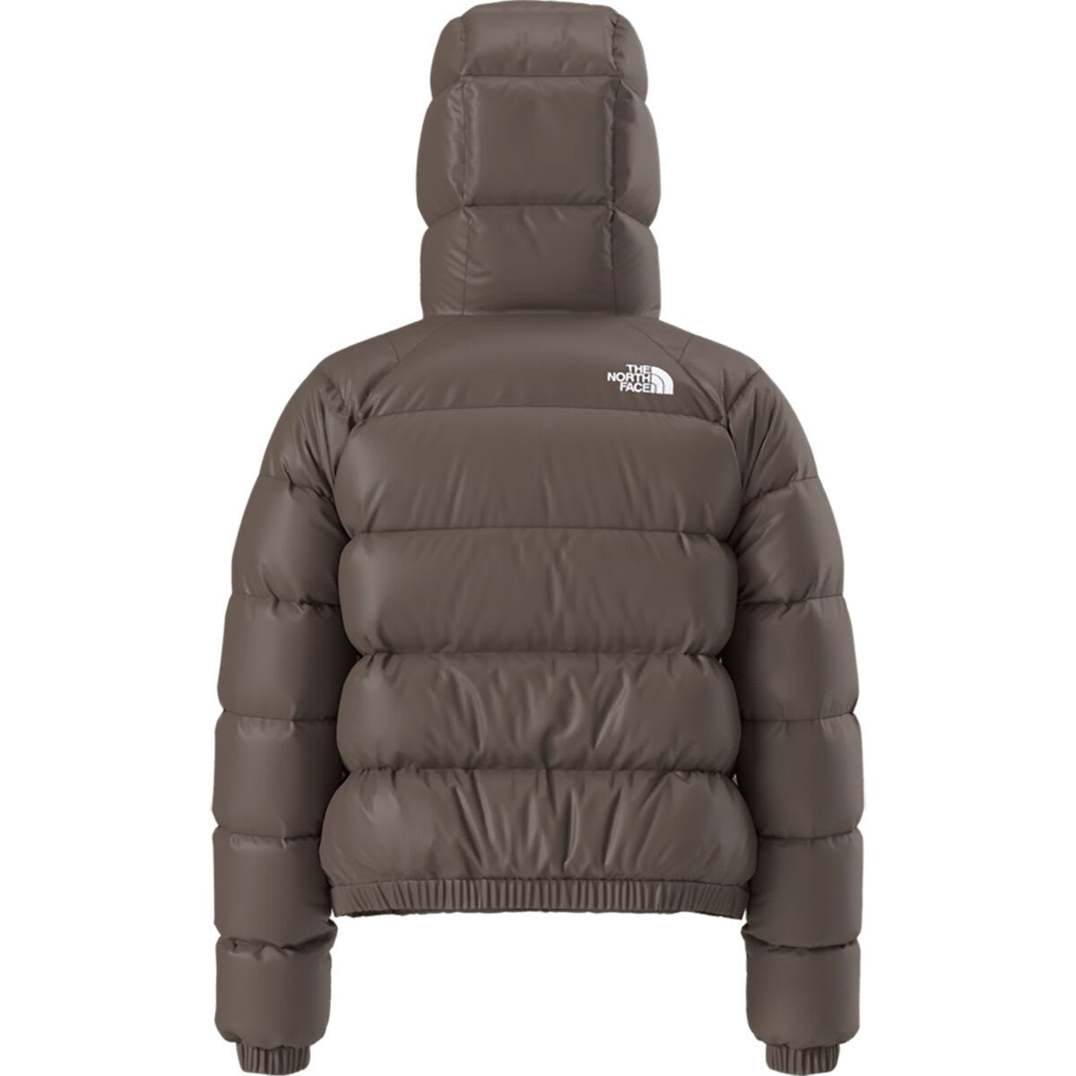 Wmns TNF Hydrenalite Down Hoodie